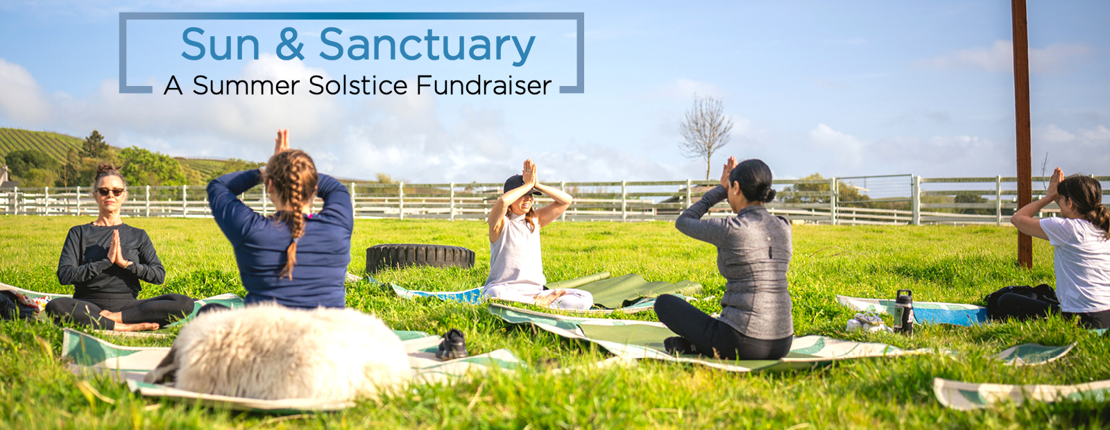 Sun & Sanctuary: A Summer Solstice Fundraiser